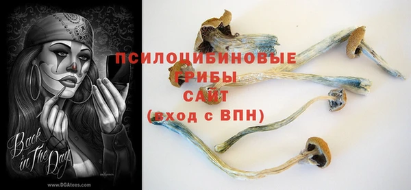 наркотики Горняк