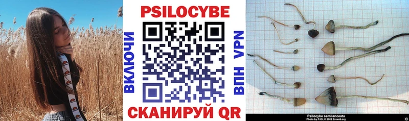 гидра   Нурлат  нарко площадка телеграм  Галлюциногенные грибы Psilocybe 