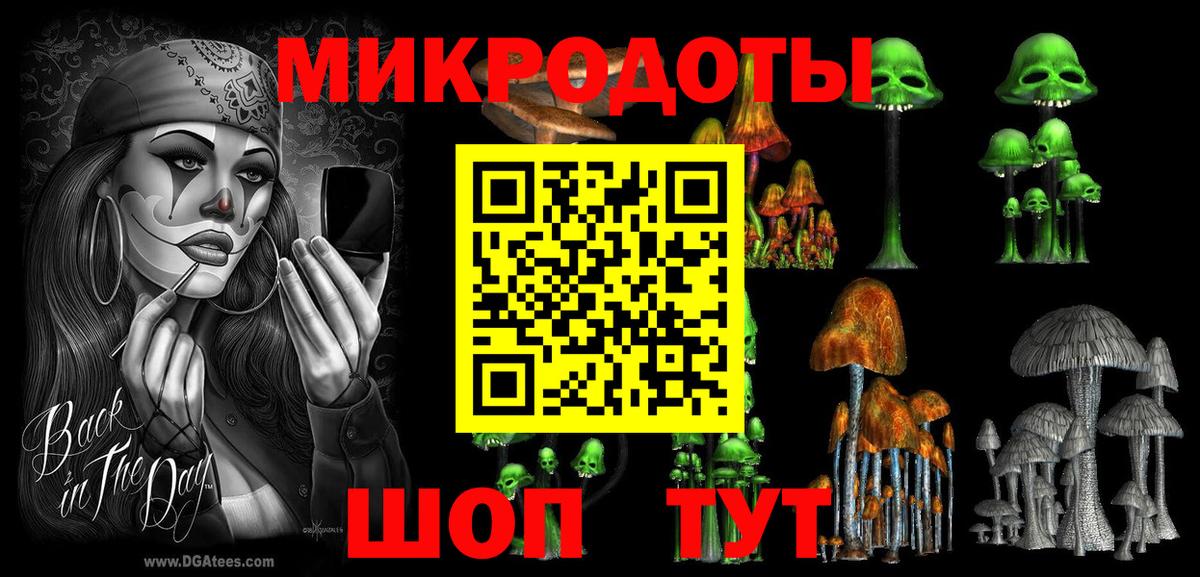 Псилоцибиновые грибы Psilocybe Нурлат