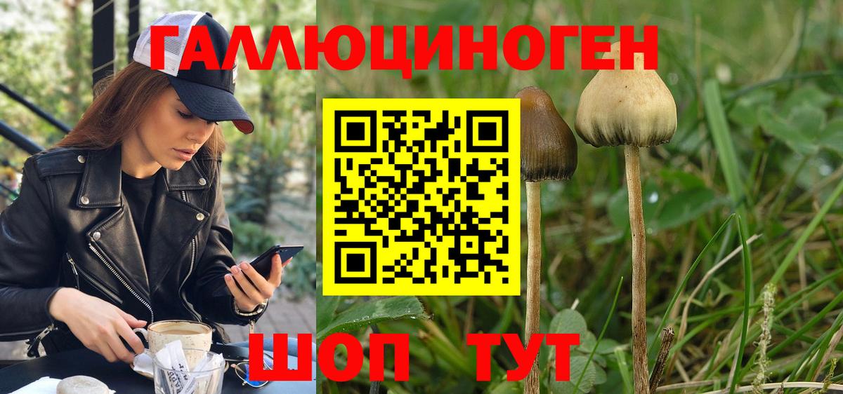 Галлюциногенные грибы прущие грибы  Нурлат 