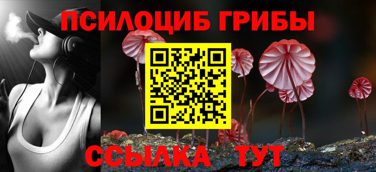 Псилоцибиновые грибы GOLDEN TEACHER  Вход с VPN  даркнет сайт  Нурлат 