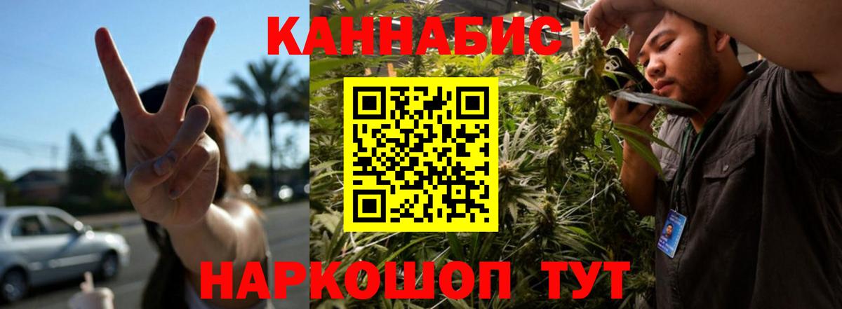 Бошки Шишки Amnesia  Канабис конопля  Бошки Шишки планчик  Нурлат  Канабис LSD WEED 